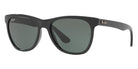 Ray-Ban RB4184 601/71 54 - Black / G-15 Green #id:rb418460171_s:100100