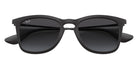 Ray-Ban RB4221 622/8G 50 - Rubber Black / Gray Gradient #id:rb42216228g_s:100125