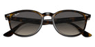 Ray-Ban RB4259 710/11 51 - Light Havana / Gray Gradient #id:rb425971011_s:102125