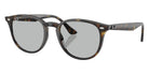 Ray-Ban RB4259F 710/87 50 - Light Havana #id:rb4259f71087_s:112105