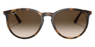 Ray-Ban RB4274 856/13 53 - Havana #id:rb427485613_s:100100