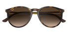 Ray-Ban RB4274 856/13 53 - Havana #id:rb427485613_s:100125