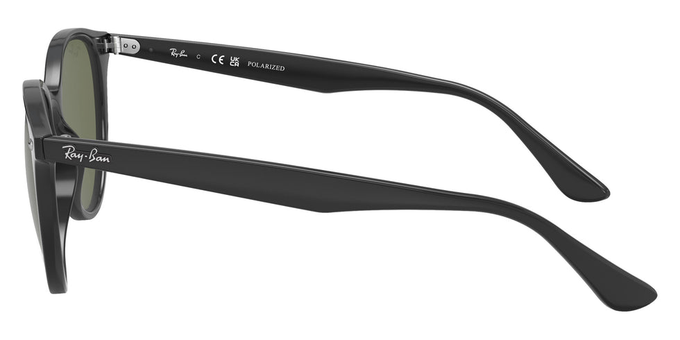 Ray-Ban RB4305 601/9A 53 - Black / G-15 Green Polarized #id:rb43056019a_s:100110