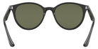 Ray-Ban RB4305 601/9A 53 - Black / G-15 Green Polarized #id:rb43056019a_s:100115