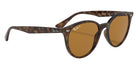 Ray-Ban RB4305 710/83 53 - Light Havana / B-15 Brown Polarized #id:rb430571083_s:102120