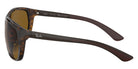 Ray-Ban RB4307 710/83 61 - Light Havana / Brown Polarized #id:rb430771083_s:100110