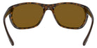 Ray-Ban RB4307 710/83 61 - Light Havana / Brown Polarized #id:rb430771083_s:100115