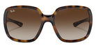 Ray-Ban RB4347 710/13 60 - Havana / Brown Gradient #id:rb434771013_s:102100