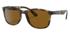 Ray-Ban RB4374 710/33 56 - Havana / Brown #id:rb437471033_s:100105