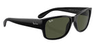 Ray-Ban RB4388 601/31 55 - Black #id:rb438860131_s:100120