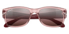 Ray-Ban RB4388 6648G8 55 - Transparent Pink #id:rb43886648g8_s:104125