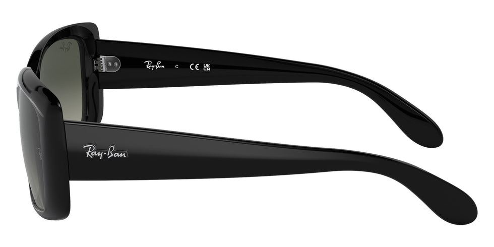 Ray-Ban RB4389 601/71 55 - Black / Gray #id:rb438960171_s:102110
