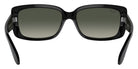 Ray-Ban RB4389 601/71 55 - Black / Gray #id:rb438960171_s:102115