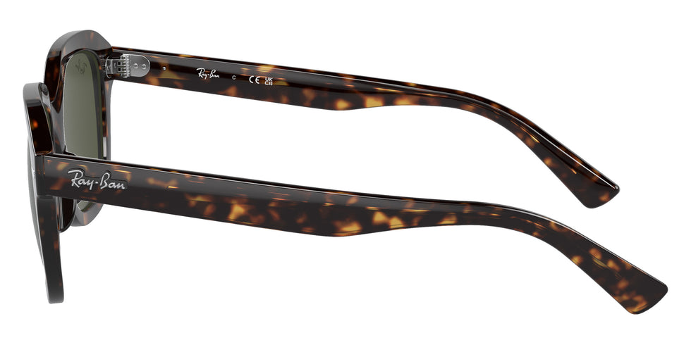 Ray-Ban RB4398 Erik 902/31 53 - Havana / Green #id:rb439890231_s:100110