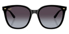 Ray-Ban RB4423D Year Of The Snake Edition 68078G 66 - Black / Gray Gradient #id:rb4423d68078g_s:100100