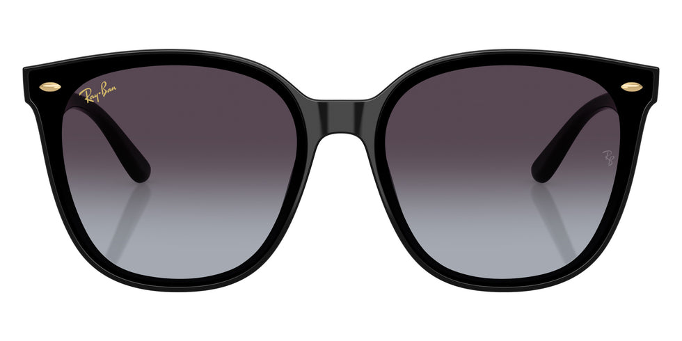 Ray-Ban RB4423D Year Of The Snake Edition 68078G 66 - Black / Gray Gradient #id:rb4423d68078g_s:100100