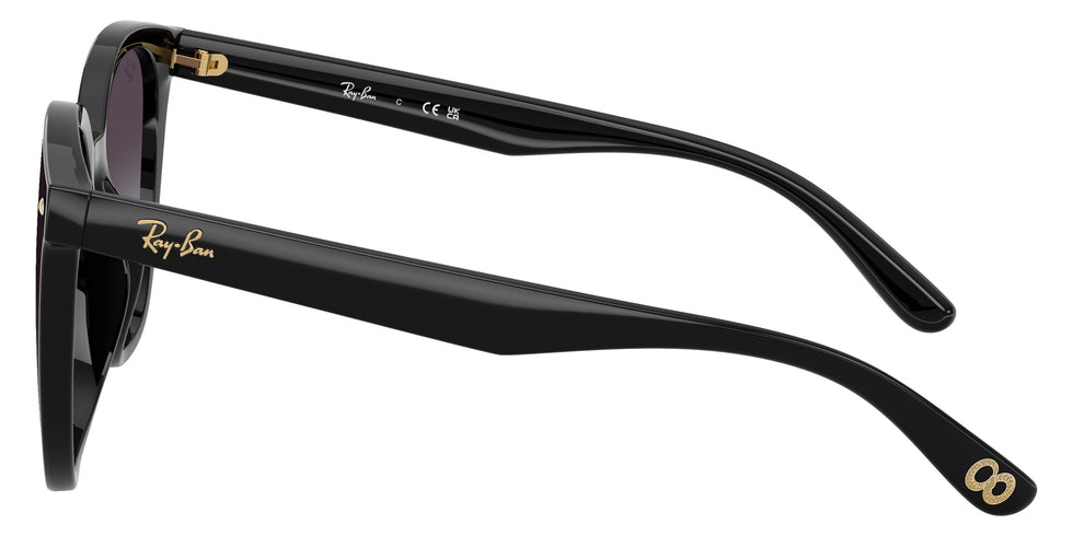 Ray-Ban RB4423D Year Of The Snake Edition 68078G 66 - Black / Gray Gradient #id:rb4423d68078g_s:100110