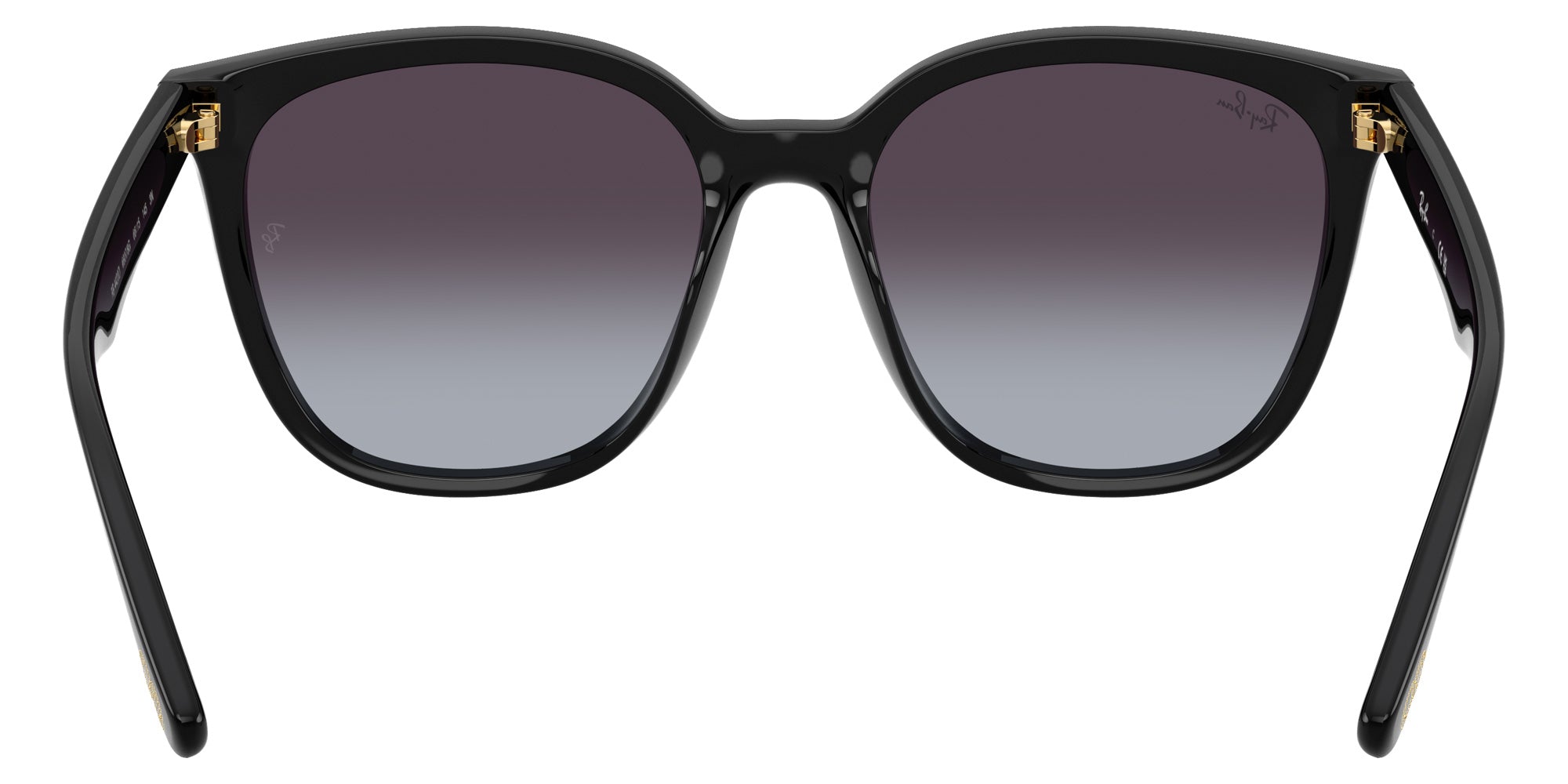 Ray-Ban RB4423D Year Of The Snake Edition Square Sunglasses