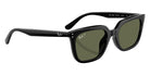 Ray-Ban RB4439D 901/9A 54 - Black / Dark Green Polarized #id:rb4439d9019a_s:100120