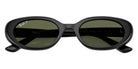 Ray-Ban RB4441D 66779A 53 - Black / Polarized Dark Green #id:rb4441d66779a_s:100125