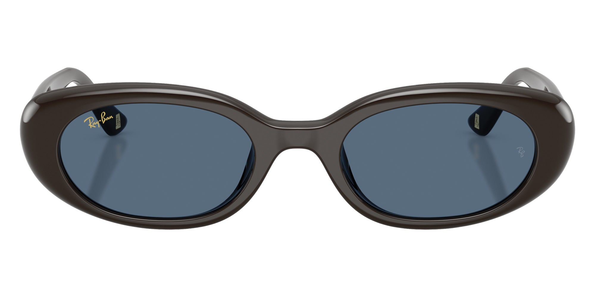 Ray-Ban RB4441D Year Of The Horse Edition 686880 53 - Full Dark Brown #id:rb4441d686880_s:100100