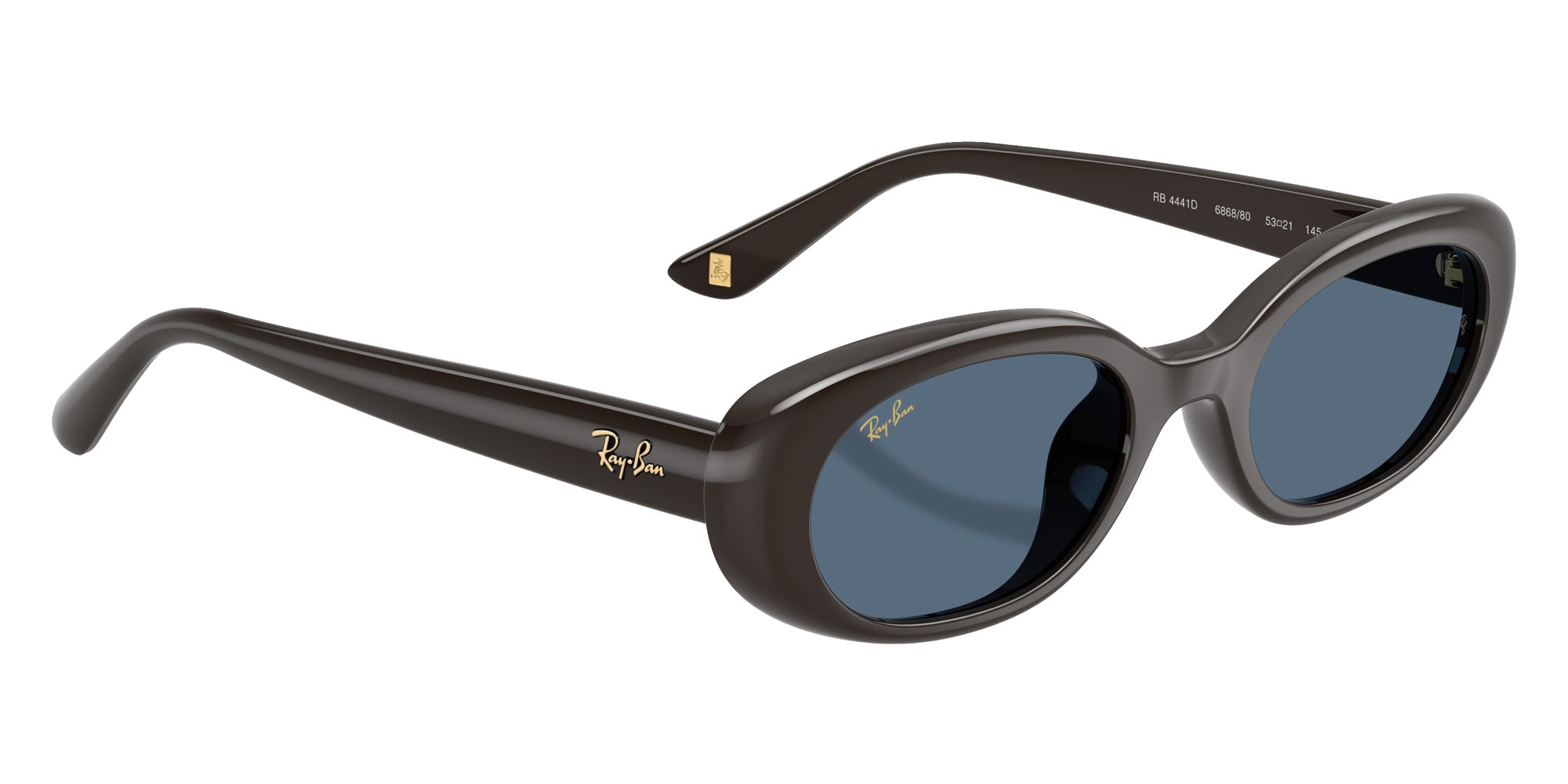Ray-Ban RB4441D Year Of The Horse Edition Square Sunglasses