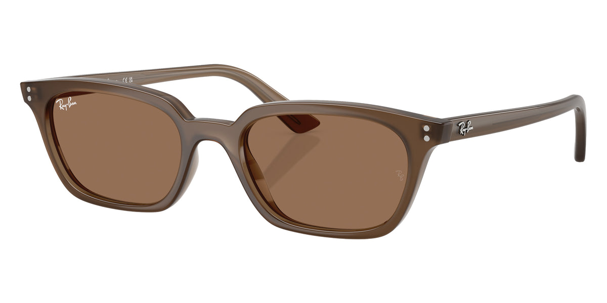 Ray-Ban RB4456 Zaya 677973 50 - Transparent Brown / Dark Brown #id:rb4456677973_s:104105