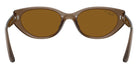 Ray-Ban RB4457D Bio-Based 677983 55 - Transparent Brown #id:rb4457d677983_s:100115