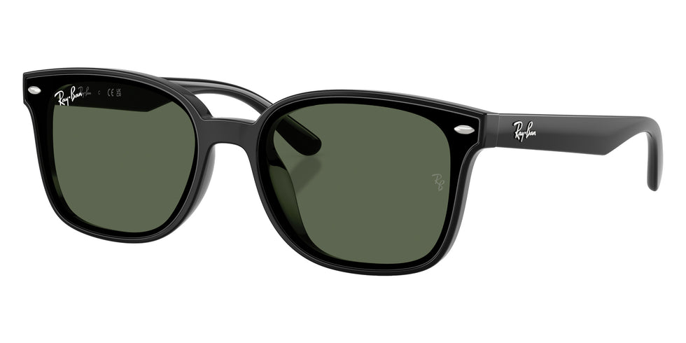 Ray-Ban RB4461D 601/71 64 - Black #id:rb4461d60171_s:100105