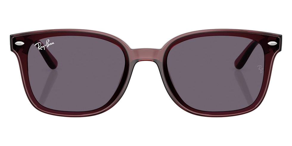 Ray-Ban RB4461D 659373 64 - Transparent Dark Brown / Violet #id:rb4461d659373_s:100100