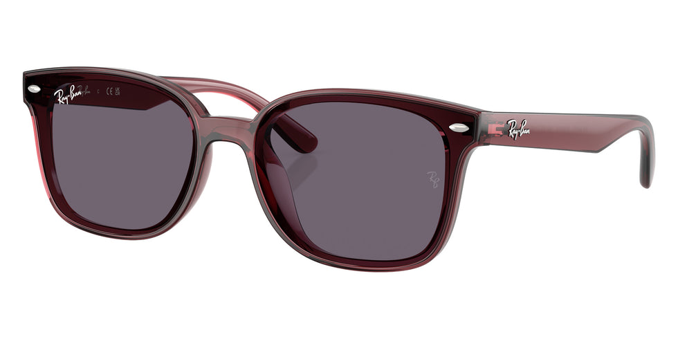 Ray-Ban RB4461D 659373 64 - Transparent Dark Brown / Violet #id:rb4461d659373_s:100105