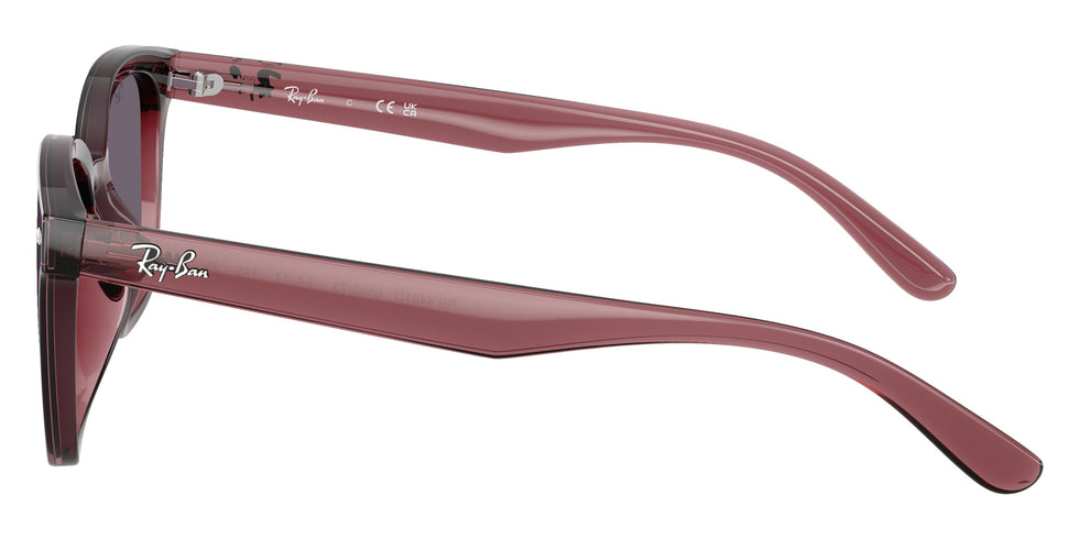 Ray-Ban RB4461D 659373 64 - Transparent Dark Brown / Violet #id:rb4461d659373_s:100110