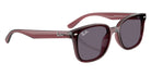 Ray-Ban RB4461D 659373 64 - Transparent Dark Brown / Violet #id:rb4461d659373_s:100120