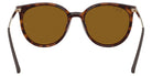 Ray-Ban RB4464L 710/83 54 - Dark Havana / Dark Brown Polarized #id:rb4464l71083_s:108115