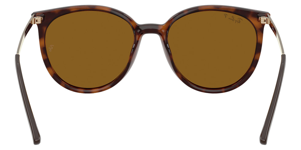 Ray-Ban RB4464L 710/83 54 - Dark Havana / Dark Brown Polarized #id:rb4464l71083_s:108115