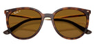 Ray-Ban RB4464L 710/83 54 - Dark Havana / Dark Brown Polarized #id:rb4464l71083_s:108125