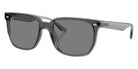 Ray-Ban RB4466D 645087 147 - Transparent Gray / Dark Gray #id:rb4466d645087_s:106105