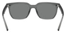 Ray-Ban RB4466D 645087 147 - Transparent Gray / Dark Gray #id:rb4466d645087_s:106115