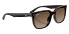 Ray-Ban RB4466D 714/13 147 - Transparent Dark Brown / Brown Gradient #id:rb4466d71413_s:108120