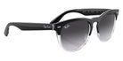 Ray-Ban RB4471 Iris 66308G 54 - Black on Transparent / Gray #id:rb447166308g_s:100125