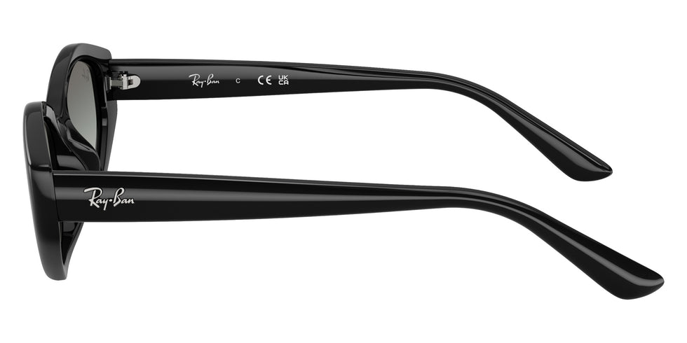 Ray-Ban RB4473D 667711 56 - Black #id:rb4473d667711_s:100110