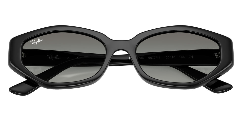 Ray-Ban RB4473D 667711 56 - Black #id:rb4473d667711_s:100125