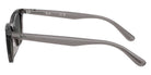 Ray-Ban RB4474D 667511 54 - Transparent Dark Gray #id:rb4474d667511_s:100110