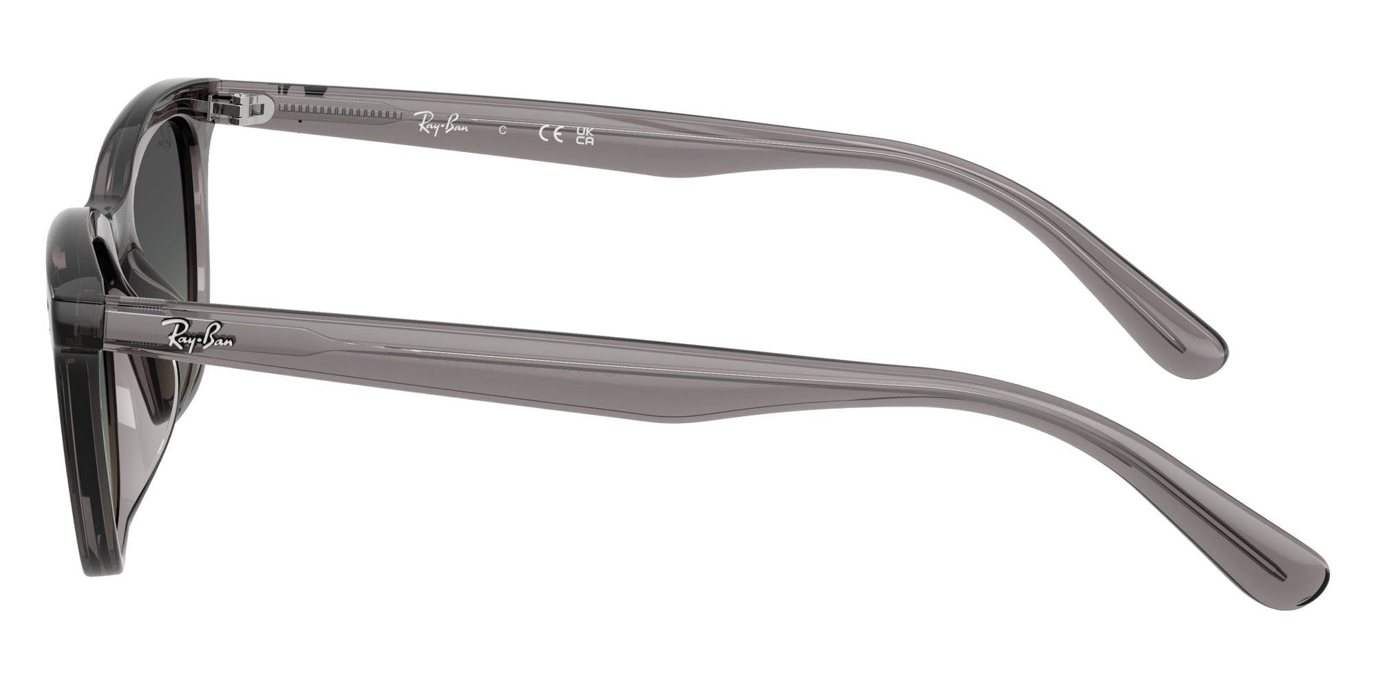 Ray-Ban RB4474D 667511 54 - Transparent Dark Gray #id:rb4474d667511_s:100110