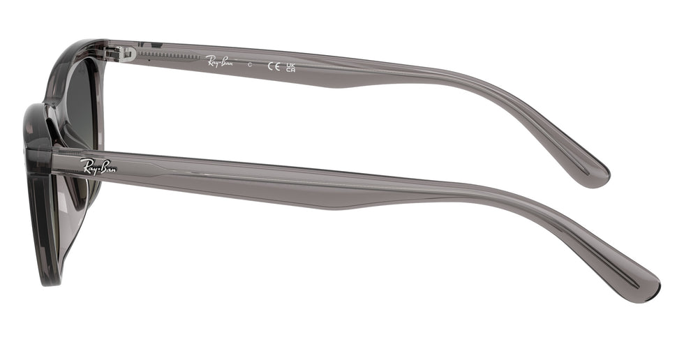 Ray-Ban RB4474D 667511 54 - Transparent Dark Gray #id:rb4474d667511_s:100110