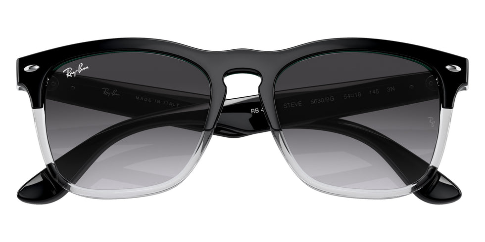 Ray-Ban RB4487 Steve 66308G 54 - Black on Transparent #id:rb448766308g_s:100120