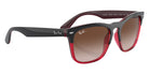 Ray-Ban RB4487 Steve 663113 54 - Gray On Transparent Red / Brown #id:rb4487663113_s:100120