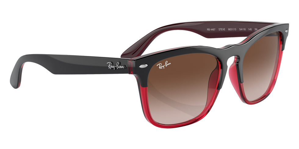 Ray-Ban RB4487 Steve 663113 54 - Gray On Transparent Red / Brown #id:rb4487663113_s:100120