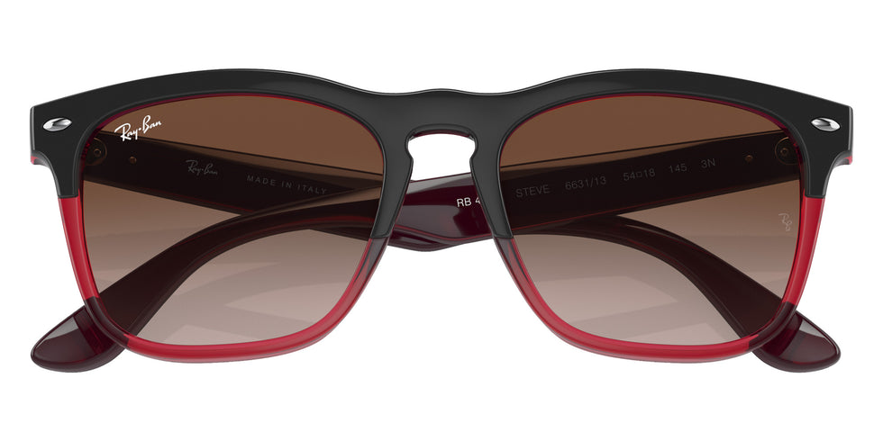 Ray-Ban RB4487 Steve 663113 54 - Gray On Transparent Red / Brown #id:rb4487663113_s:100125