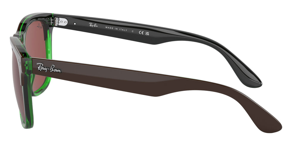 Ray-Ban RB4487 Steve 663469 54 - Dark Brown on Transparent Green / Dark Violet #id:rb4487663469_s:100110